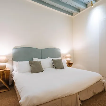 Apartment Luxurious With Andalusian Patio And Pool, Facing The Cathedral Seville
