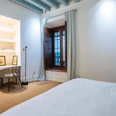 Appartement Luxurious With Andalusian Patio And Pool, Facing The Cathedral